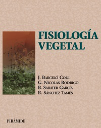 Fisiología vegetal